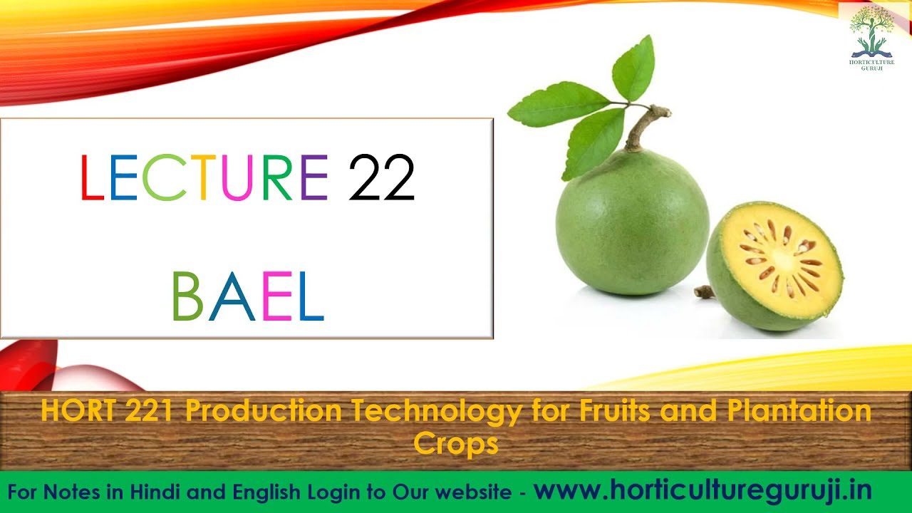 #HORT221 | Lecture 22 Bael | बेल पत्र | बिलवा |
