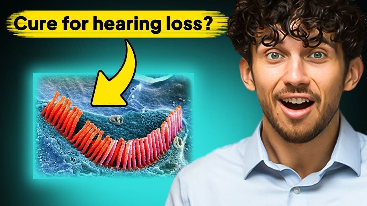 Новое исследование Стэнфорда может обратить вспять потерю слуха и шум в ушах