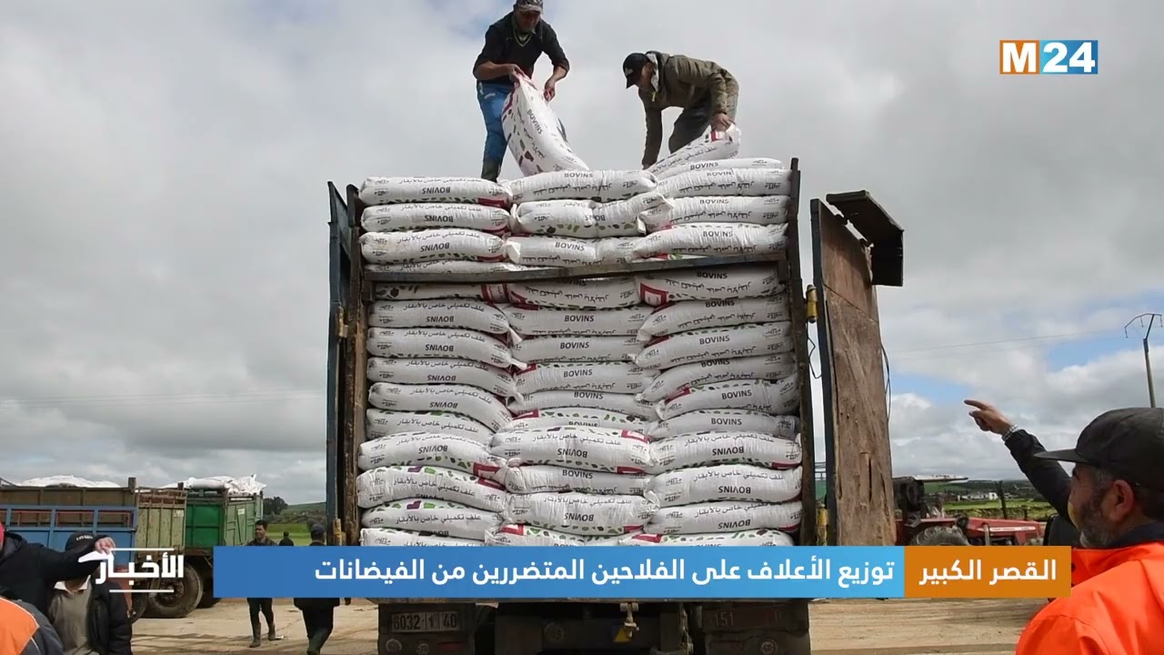 القصر الكبير..  توزيع الأعلاف على الفلاحين المتضررين من الفيضانات