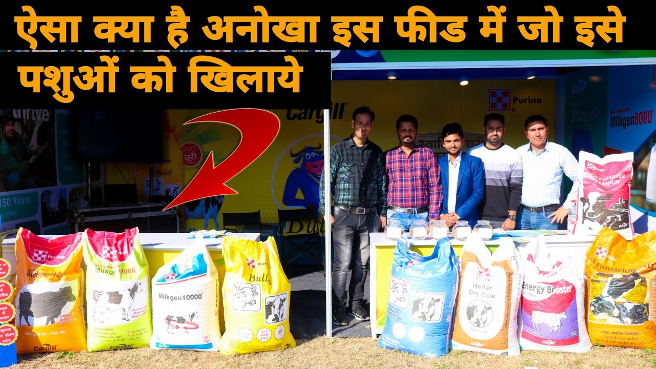 Cargill Feed के बारे में पूरी जानकारी | What is so unique in this feed that feeds it to animals