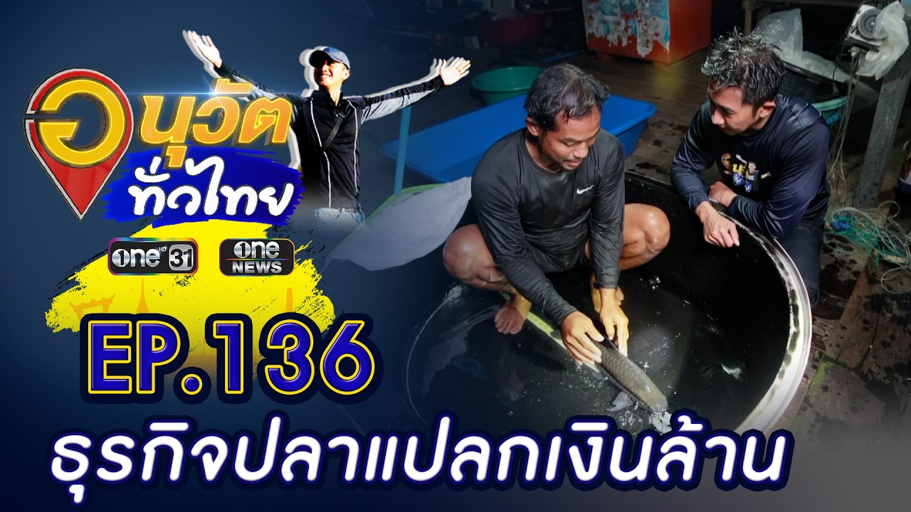 เส้นทางธุรกิจปลาแปลกเงินล้าน จ.กาญจนบุรี | อนุวัตทั่วไทย | EP 136 | ข่าวช่องวัน | one31