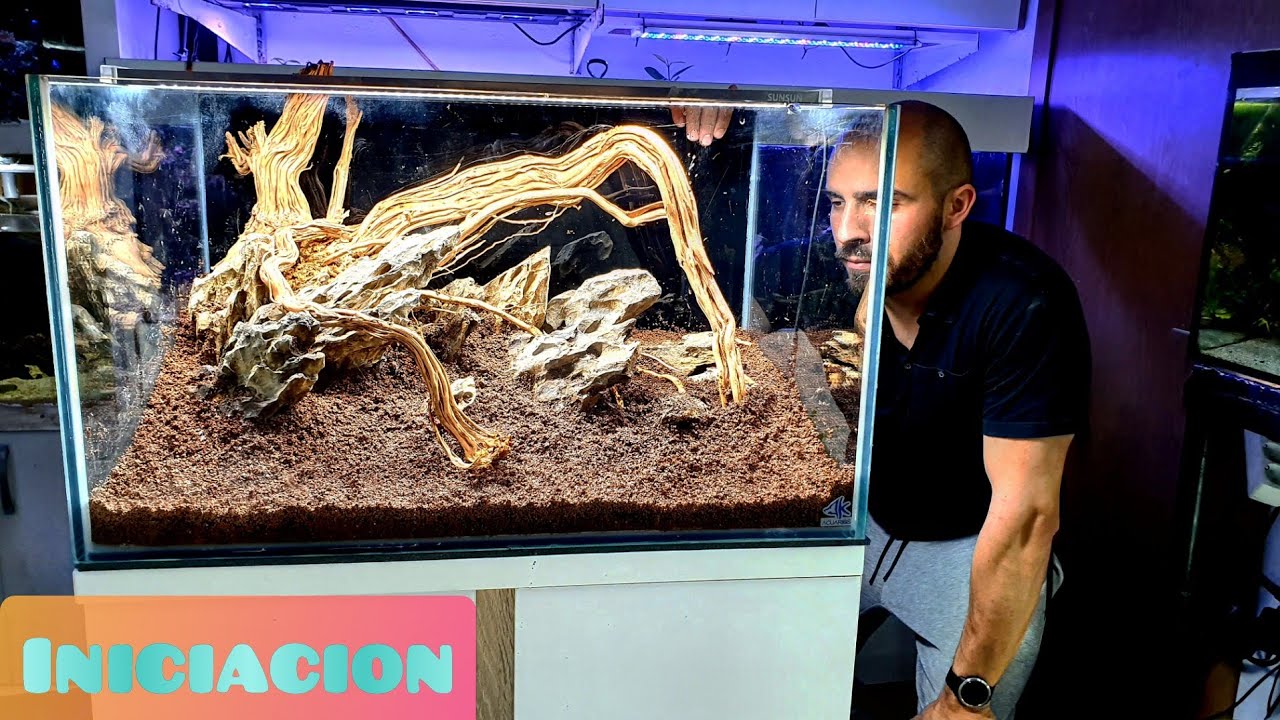 MI PRIMER ACUARIO / CONCEPTOS BÁSICOS