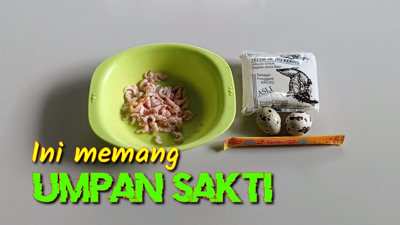 Memang tidak diragukan lagi, umpan ini memang sakti @media umpan udang
