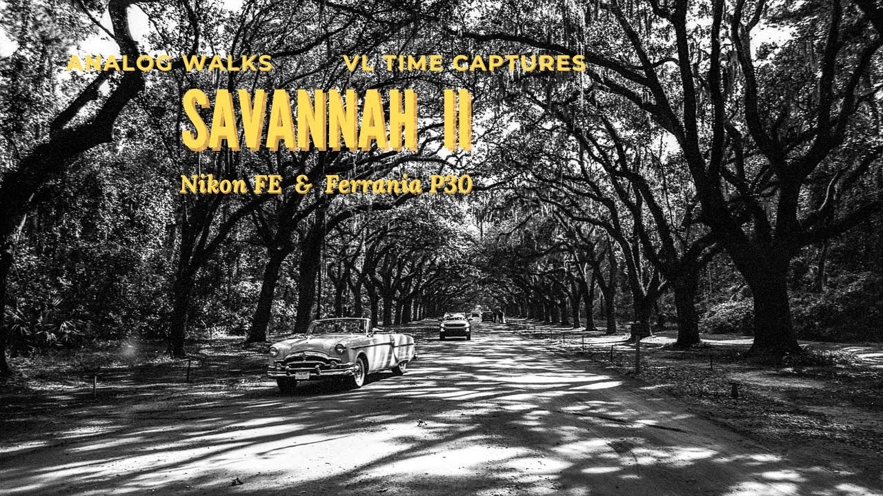 Savannah II (Nikon FE & Ferrania P30)