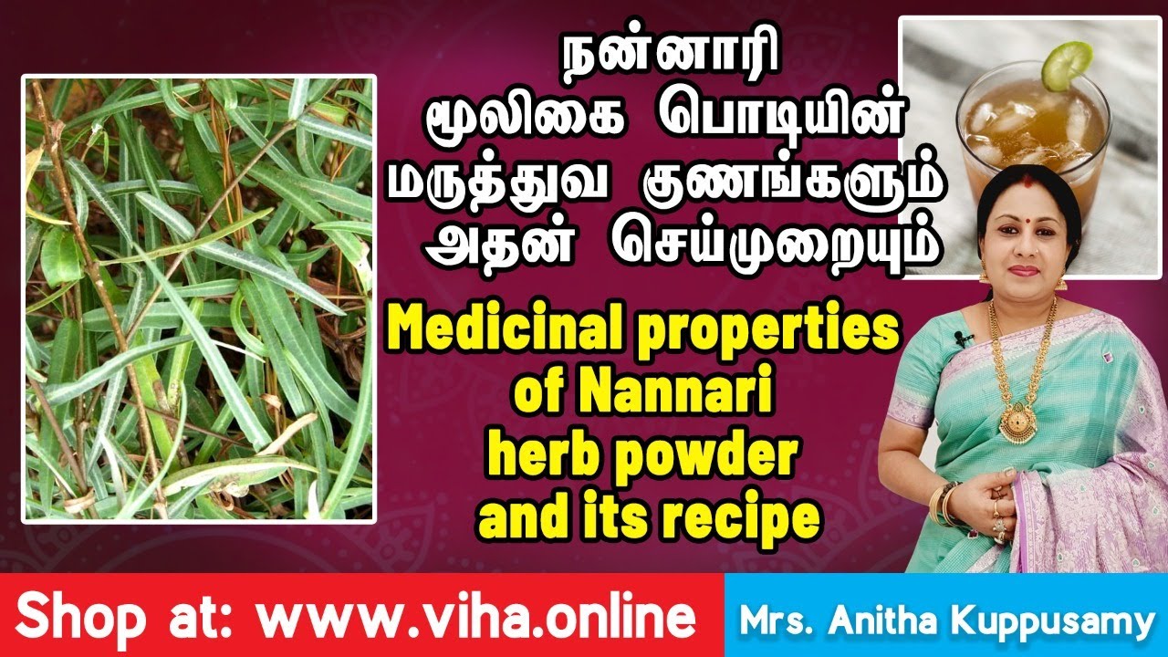 நன்னாரி மூலிகை பொடியின் மருத்துவ குணங்களும் அதன் செய்முறையும் |  Anitha Pushpavanam Kuppusamy
