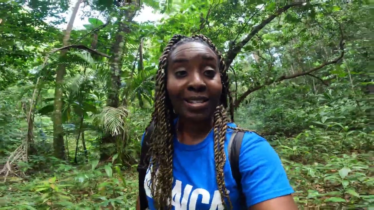 A hidden gem river in St. Ann, Jamaica | Cranbrook Flower Forest Jamaica