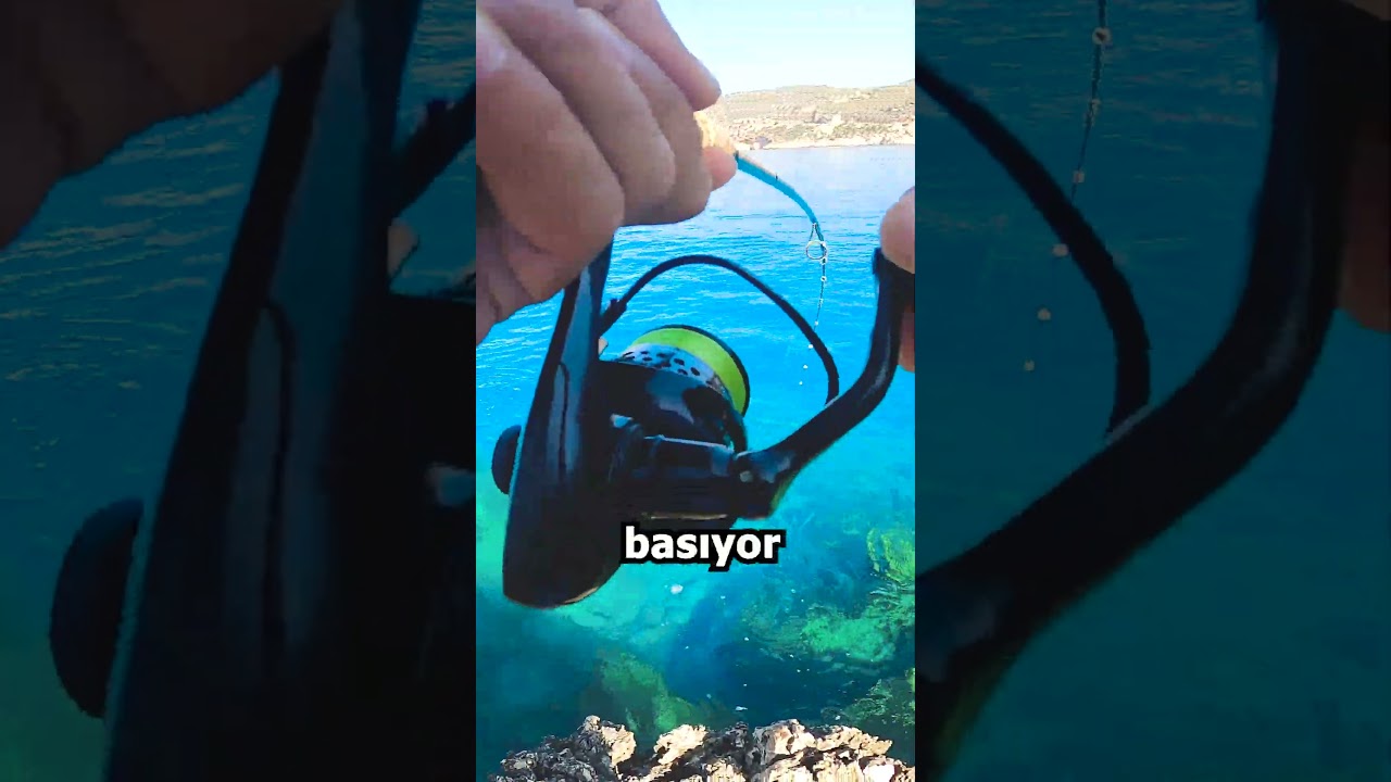 Balık Kamışı Kırdı / Kıyı At &Ccedil;ek Lrf Balık Avı #shorts #fishing