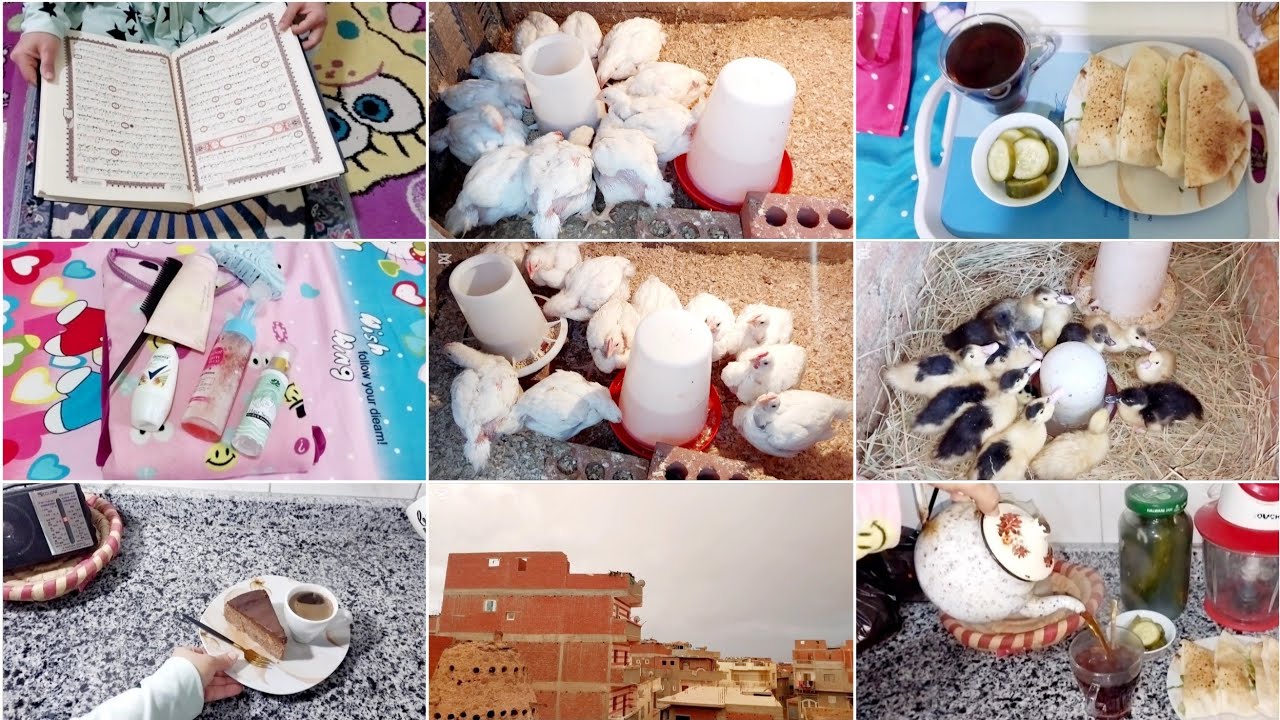 روتينى من الفجريه🌿بدأت يومى بقرائه القرأن🩵يوم كله بركه بريحه هواء الفجريه ❤️ربى لاتجعلنى من الغافلين