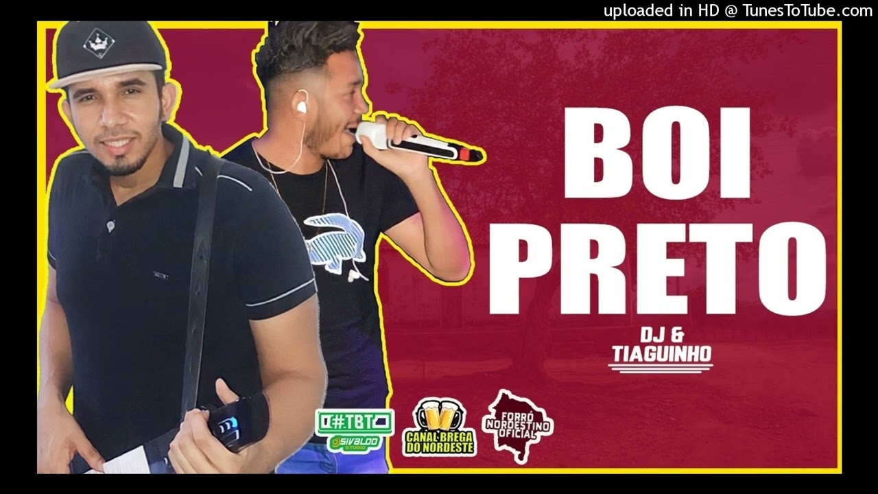 DJ E TIAGUINHO - BOI PRETO ( FORRÓ DE VAQUEJADA )