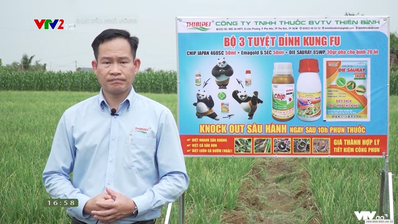 SÂU ỐNG HÀNH, SÂU XANH DA LÁNG HÀNH, DÒI ĐỤC LÁ HÀNH #bvtvthiênbình #tbc #nôngnghiệp #automobile