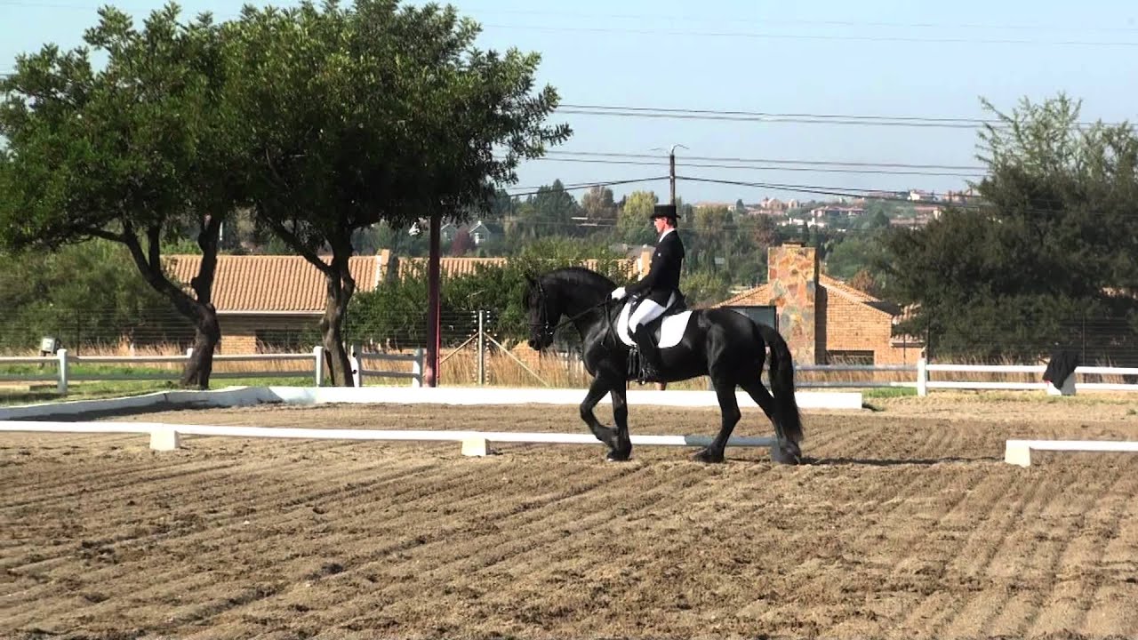 Geduld   FPSSA Nationals 2012