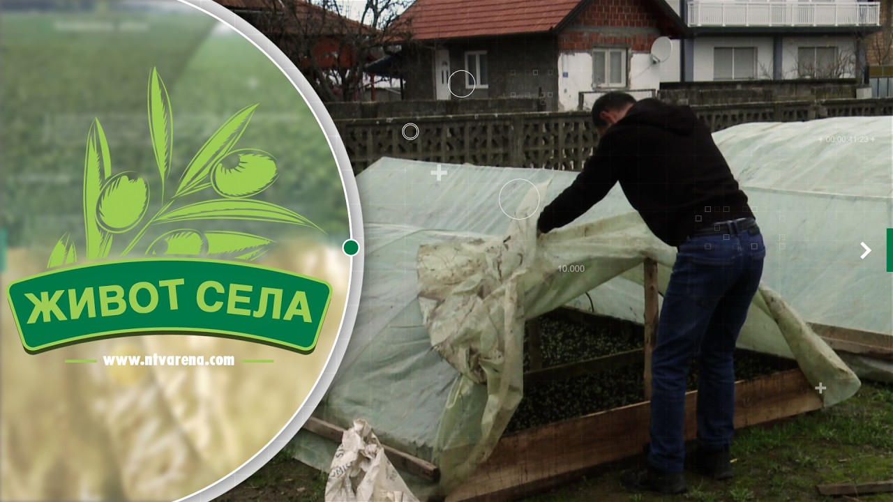 Rad bez kredita i bez predaha - Karjaševići u Janji započeli sezonu, isplata premija u pravi čas