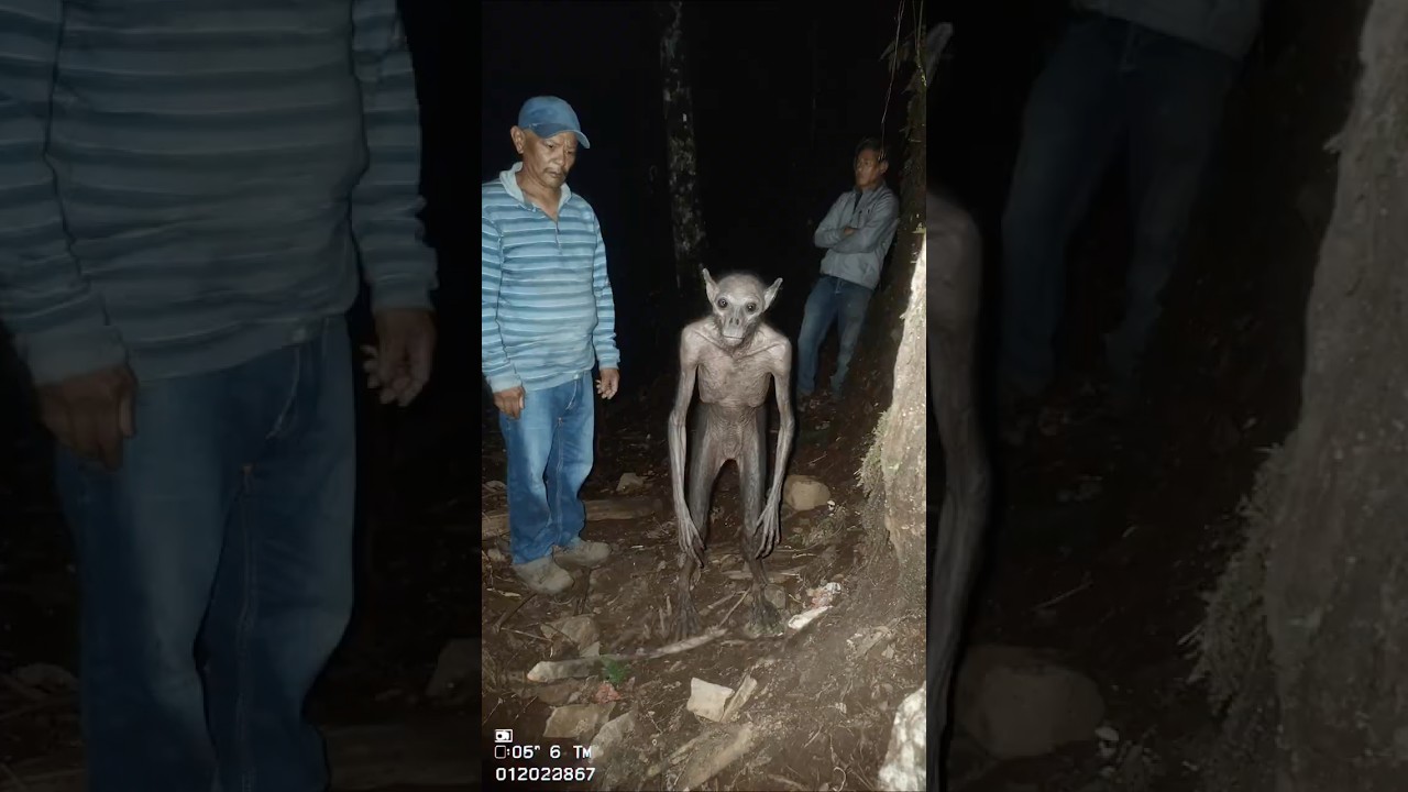 Chupacabra Caught on Trail Cam Near Guatemalan Mountains