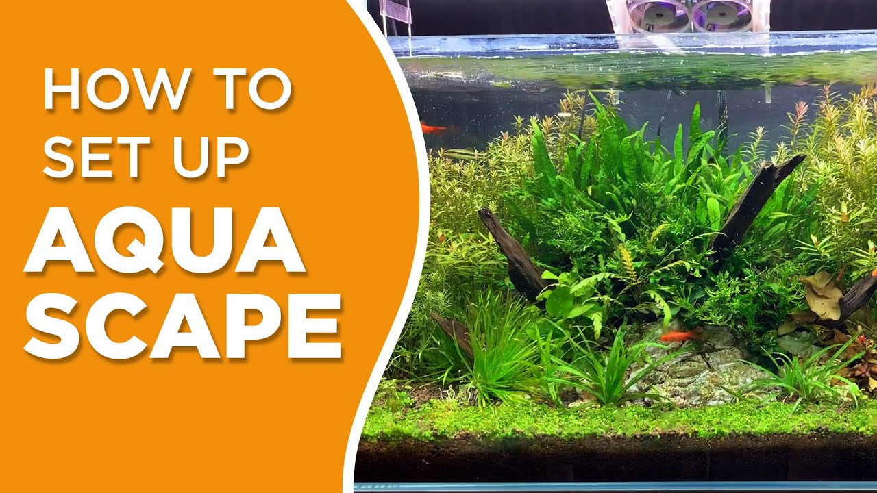 HOW TO MAKE AQUASCAPE