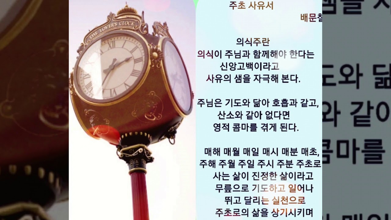 '주초사유서' ㆍ선교채널(42CH)