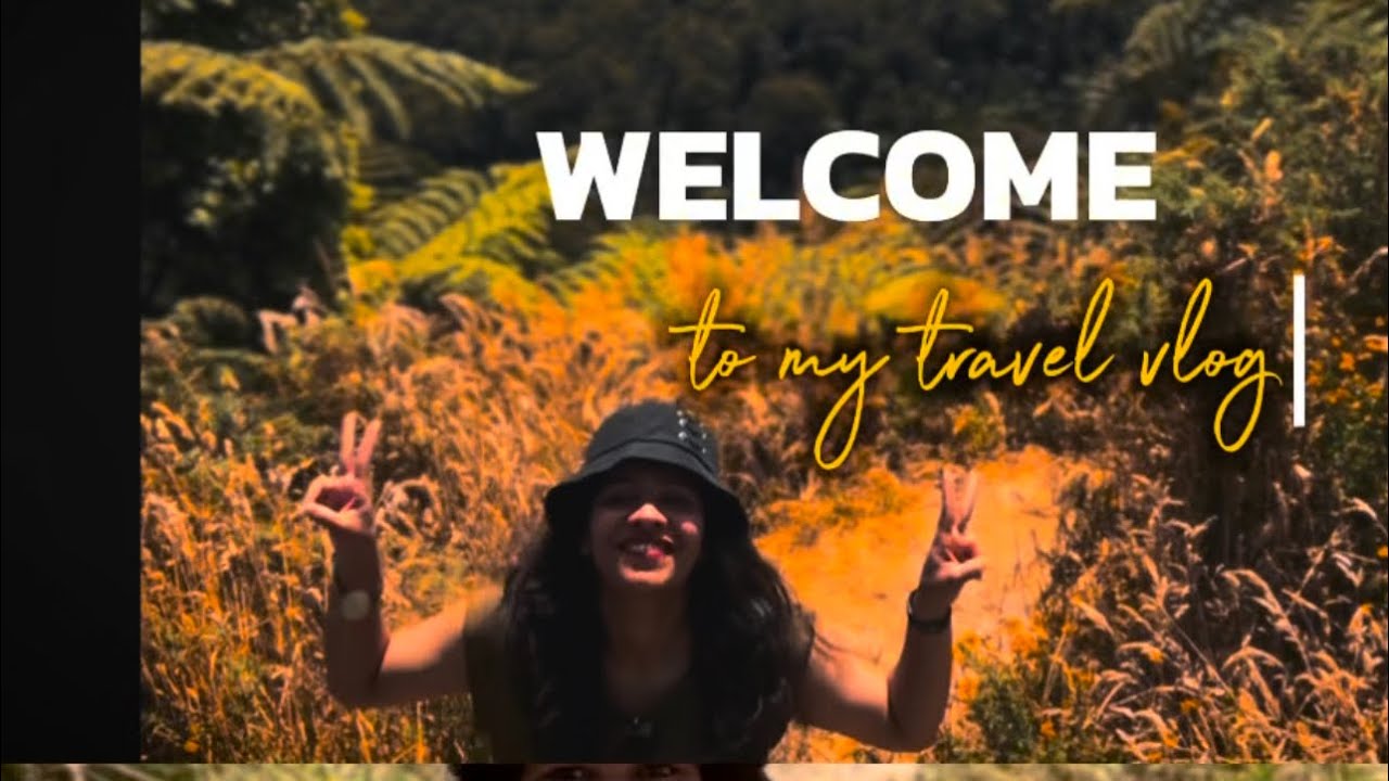 Joyful Escapade:Cherished trip with a Wonderful Crew: courtesy - Thomas Motors Tauranga #travelvlog