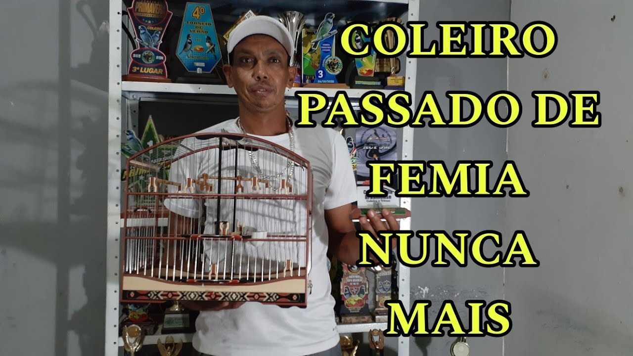 COMO ACERTAR QUALQUER COLEIRO PASSADO DE FEMIA COM ESSA MEXIDA melhor do mundo