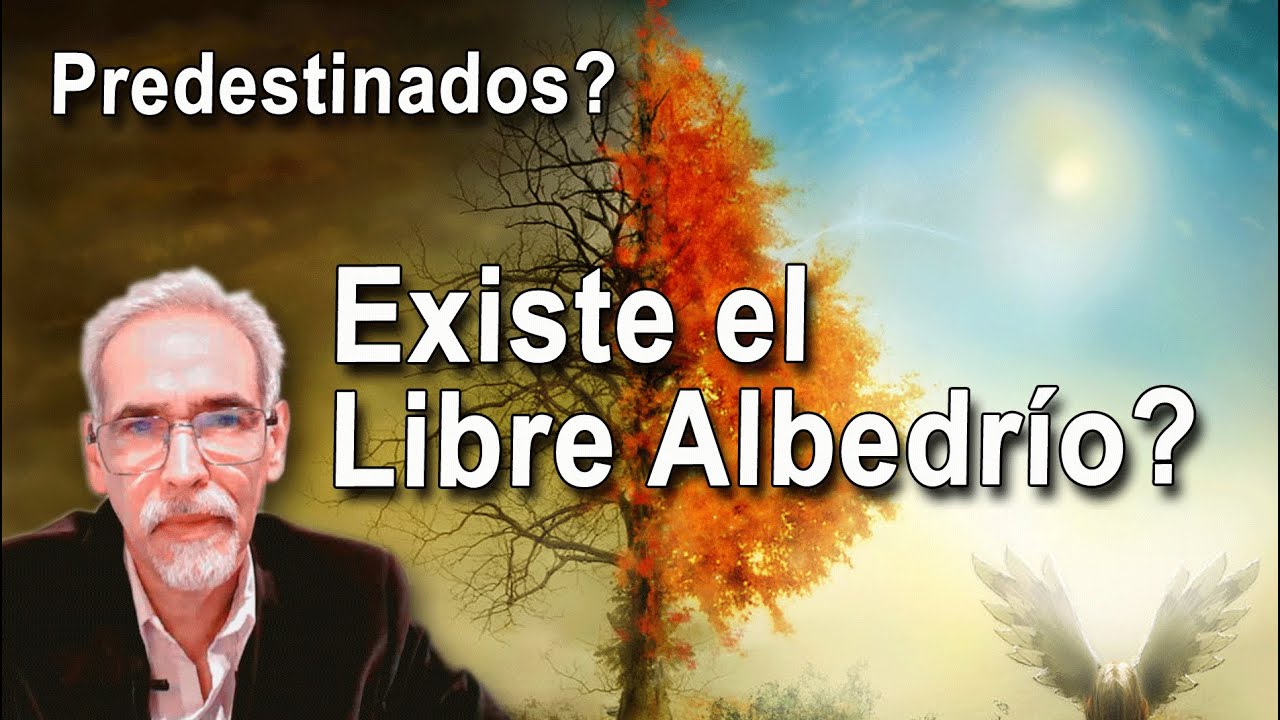 Que es la predestinación? estamos predestinados? o somos libres?