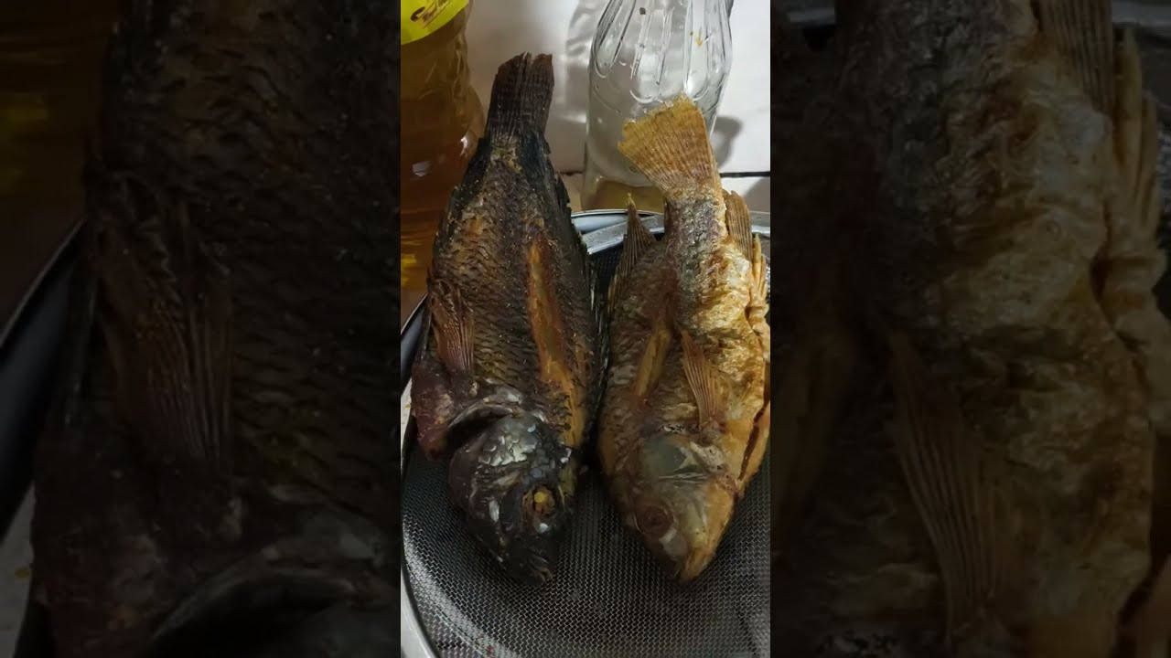 cara masak ikan nila buat sahur