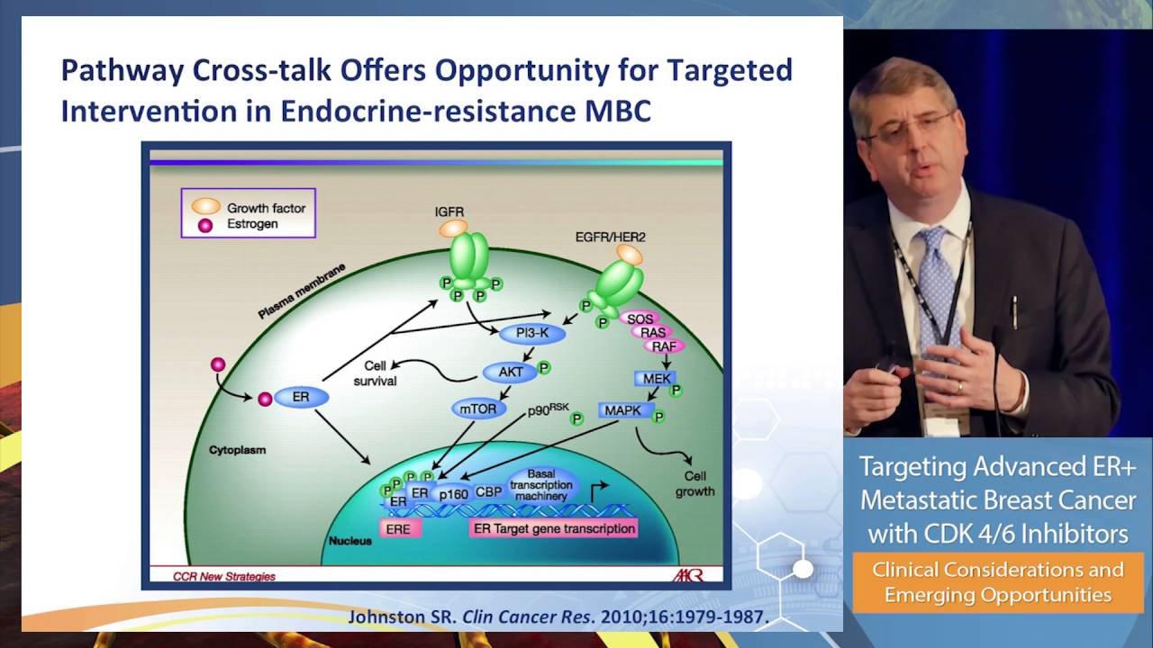 Mechanistic Activity and Development History of CDK 4/6 Inhibitors