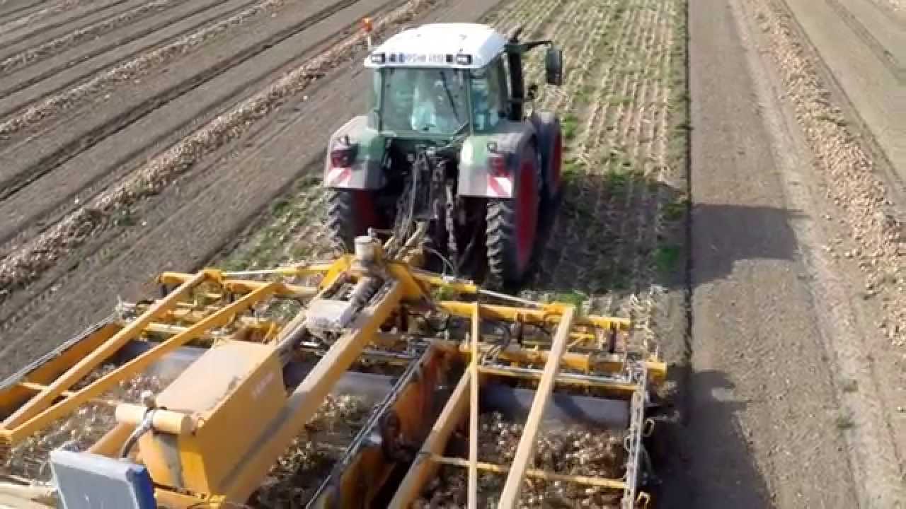 SAMON |  3-Bed Onion Windrower