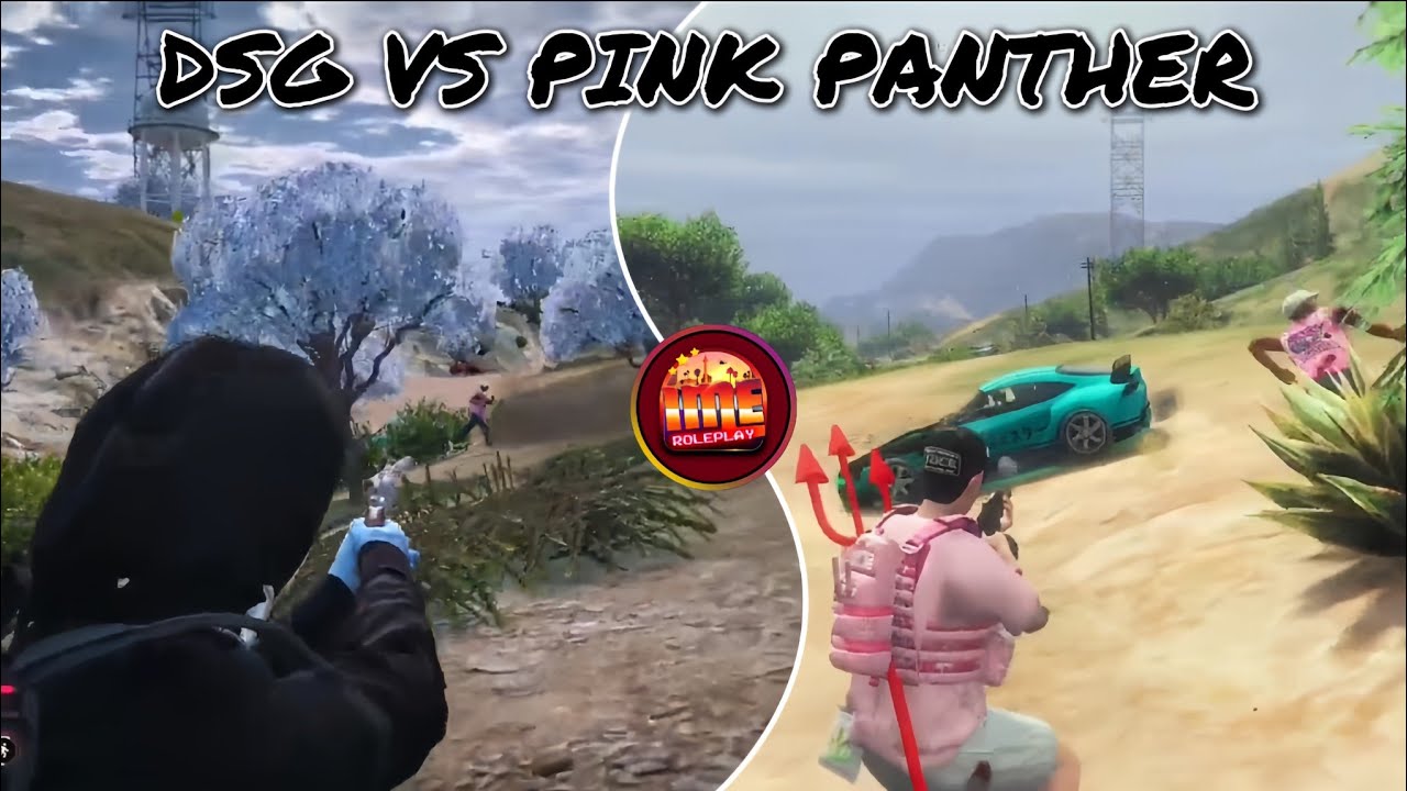 DSG VS PINK PANTHER!!#dsg #pinkpantherIME#imeroleplay #imerp #gta #roleplay