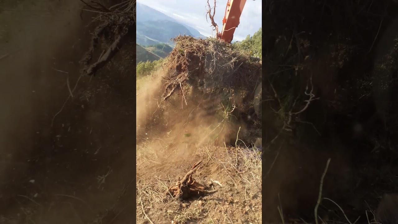 Limpieza y desbroces forestales satur gomez maderas arantzari