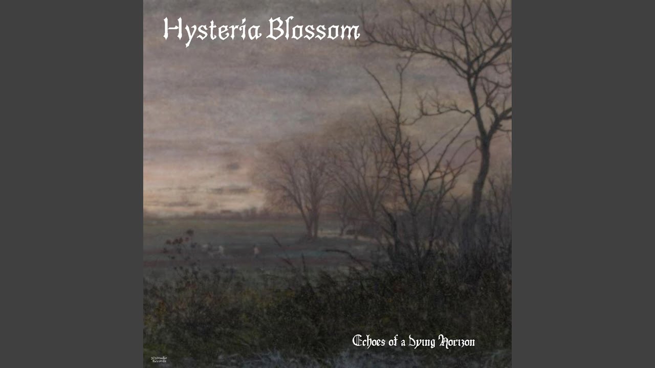 Echoes of a Dying Horizon