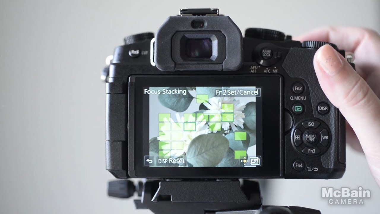 Panasonic G85  Advanced Focus Techniques - McBain Camera