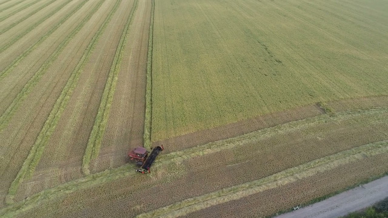 Brørup Maskinstation Skårlægning | Macdon 9352i | 21 fod | Macdon M150 | 25 fod |