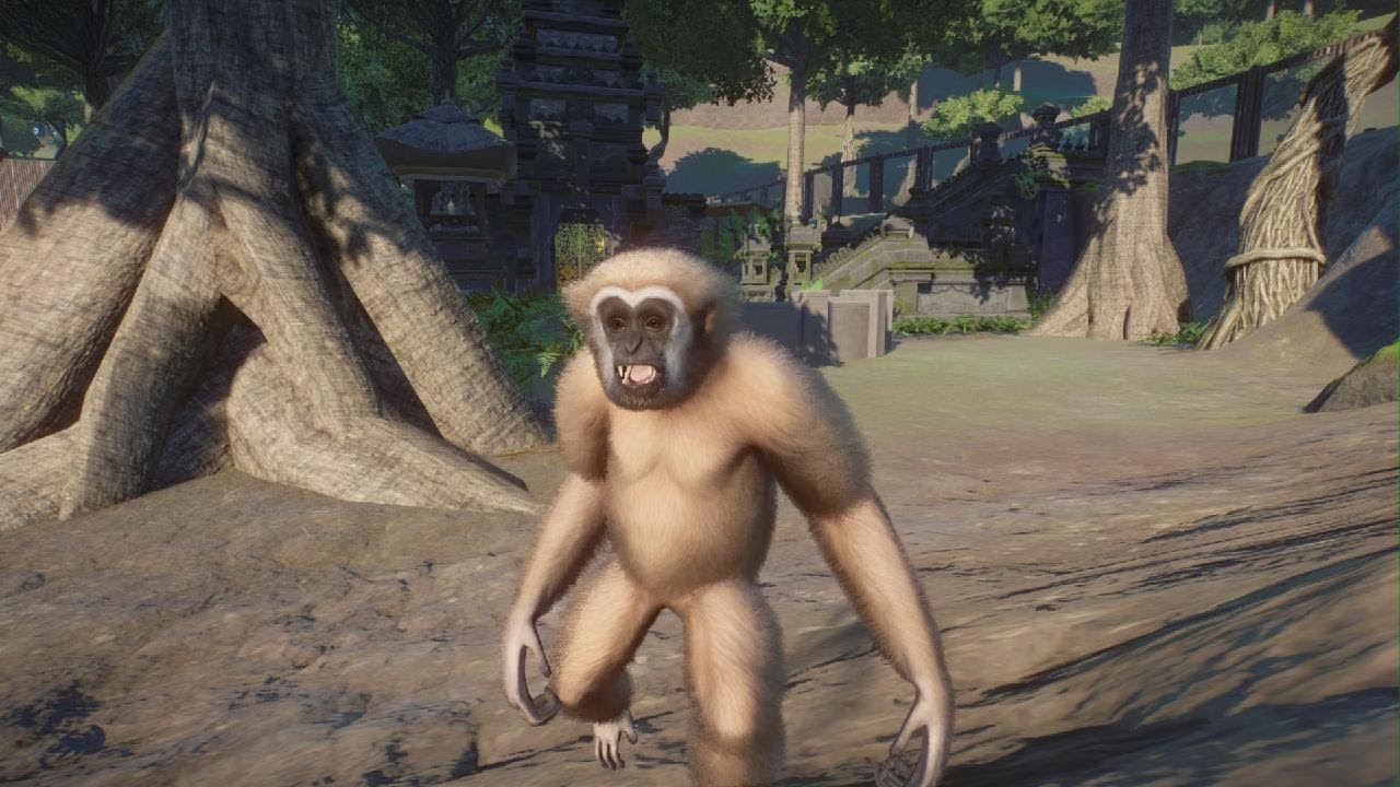 Planet Zoo Tropical Pack: Lar Gibbon
