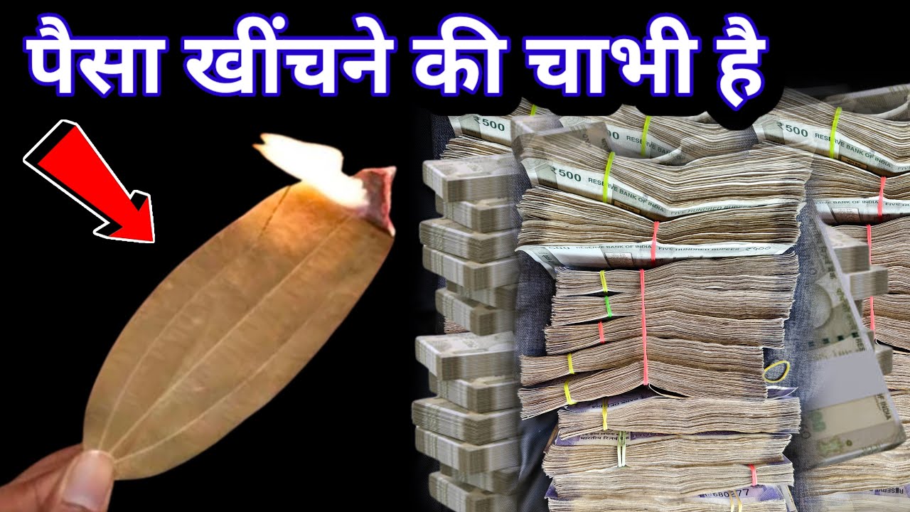 तेज पत्ते का ये उपाय आपको रातों-रात धनवान बनाएगा, मालामाल कर देगा | Prema nand ji Maharaj 
