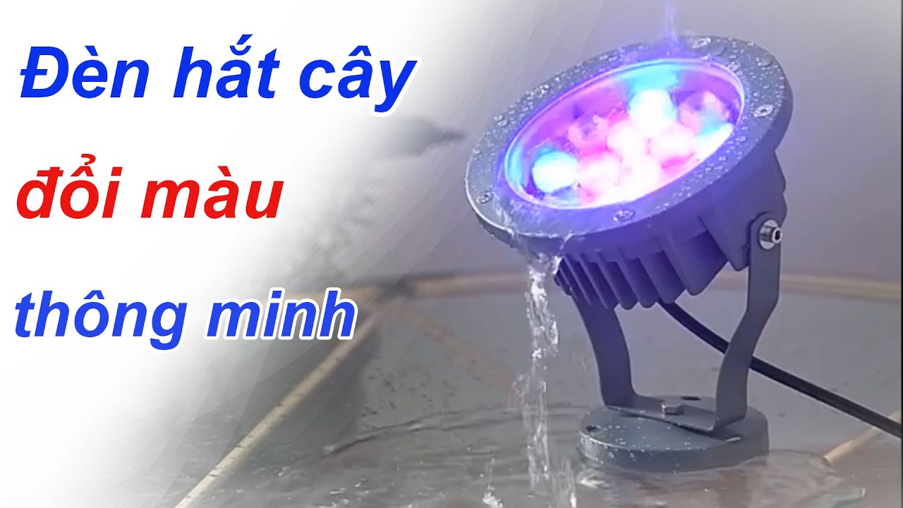 Thực tế đèn hắt cây chiếu sáng cây cảnh, sân vườn