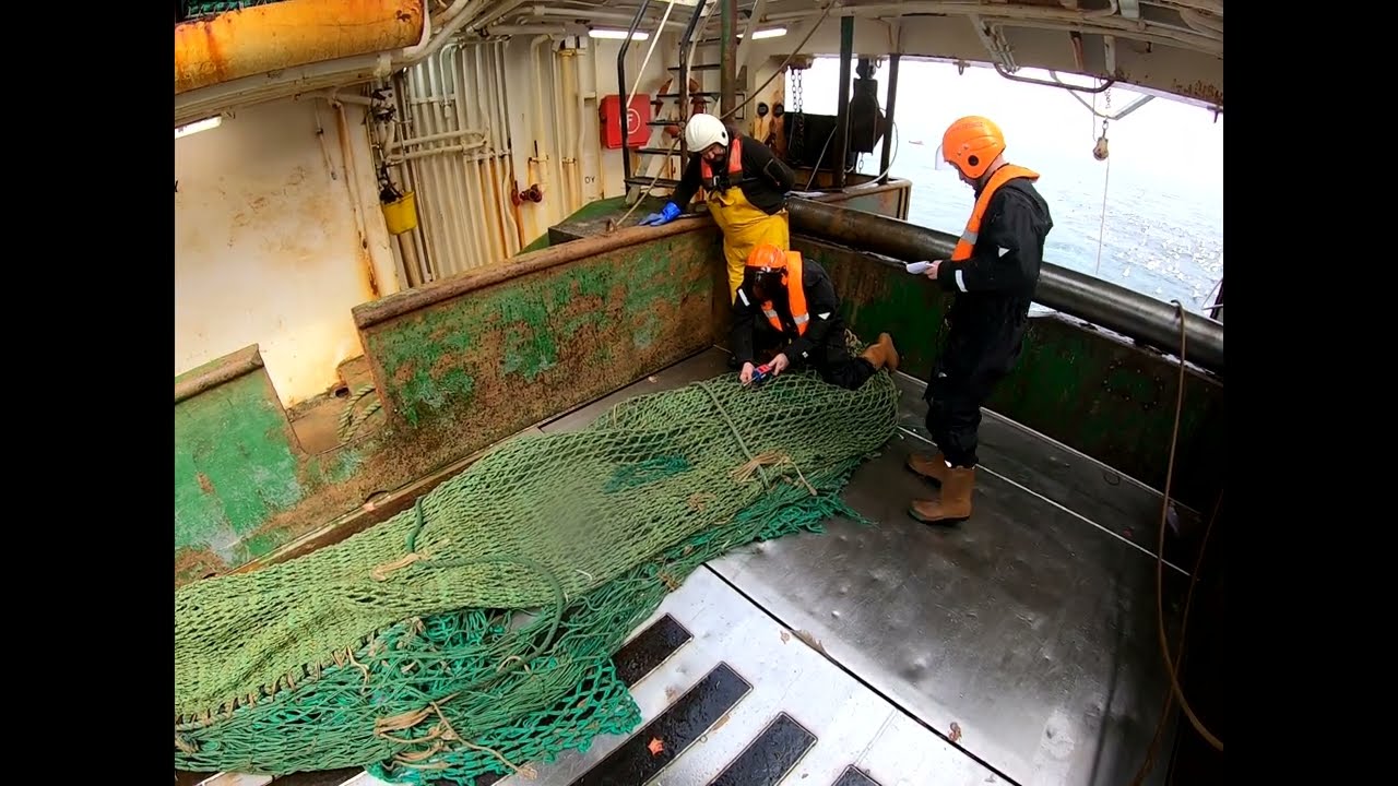 Navy vs legal fishing. What does the Navy do when they come on a fishing boat!?