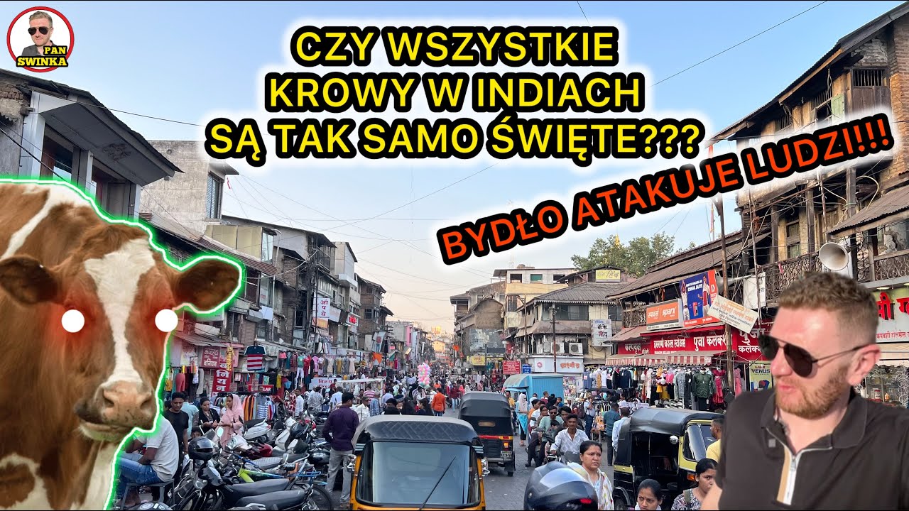 CZY WSZYSTKIE KROWY W INDIACH SĄ TAK SAMO ŚWIĘTE?