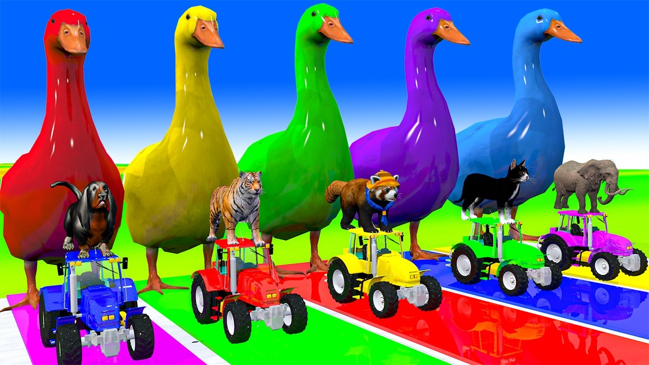 Long Slide Game With Cow Elephant Gorilla Hippopotamus Tiger 3d Animal Game Funny 3d Animals