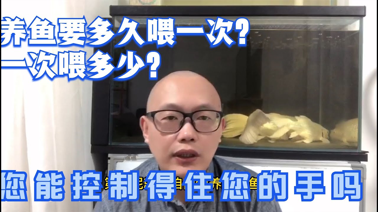 养鱼要多久喂一次？一次喂多少？