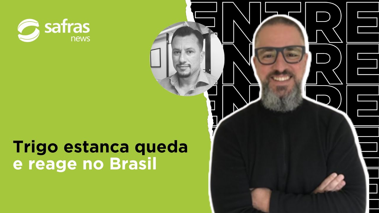 Alta internacional e oferta curta sustentam trigo no Brasil - Conversa com o Analista