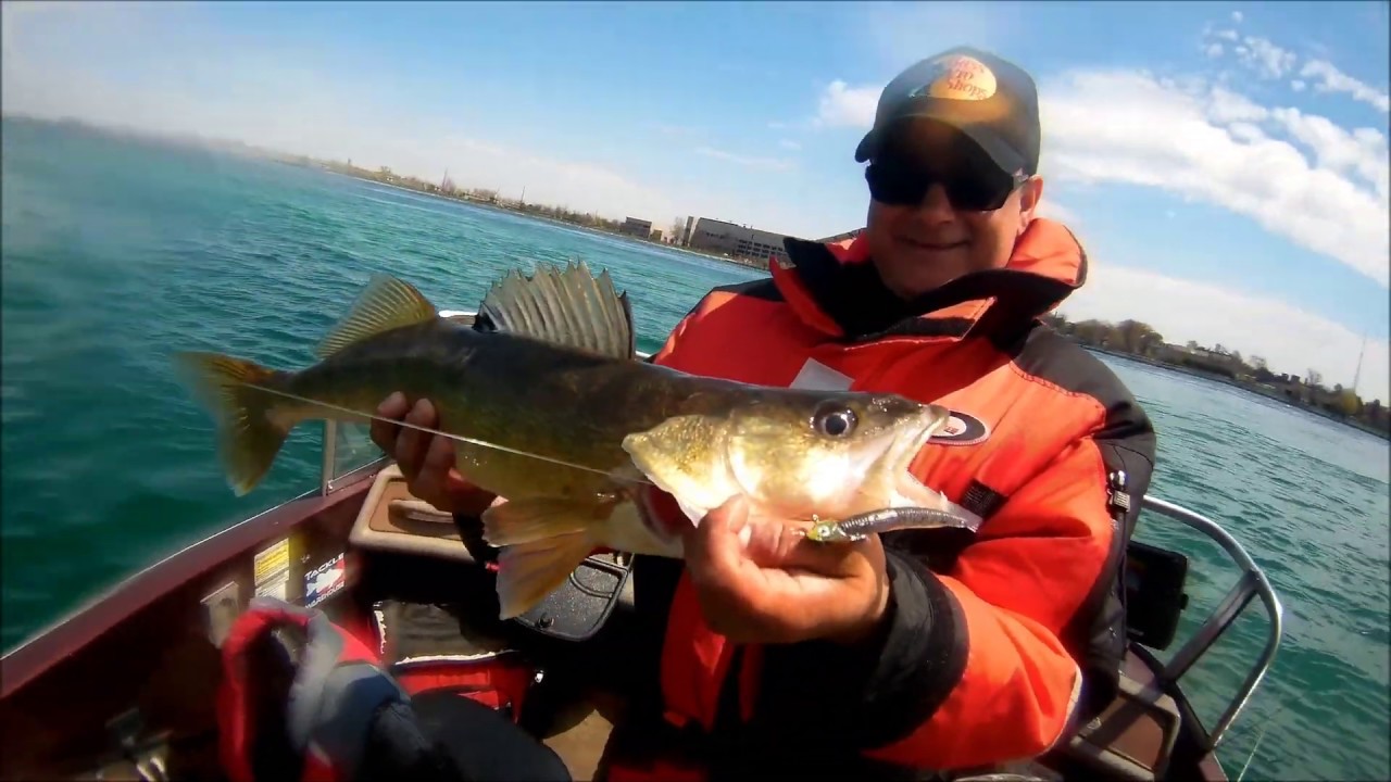 Niagara river Walleye Salty Sling Venom Lures May 15, 2019