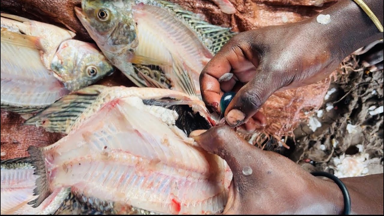 Beach Fishing in Africa|Nyaata Qurxummii galaanaa(Arba Minch, Ethiopia)