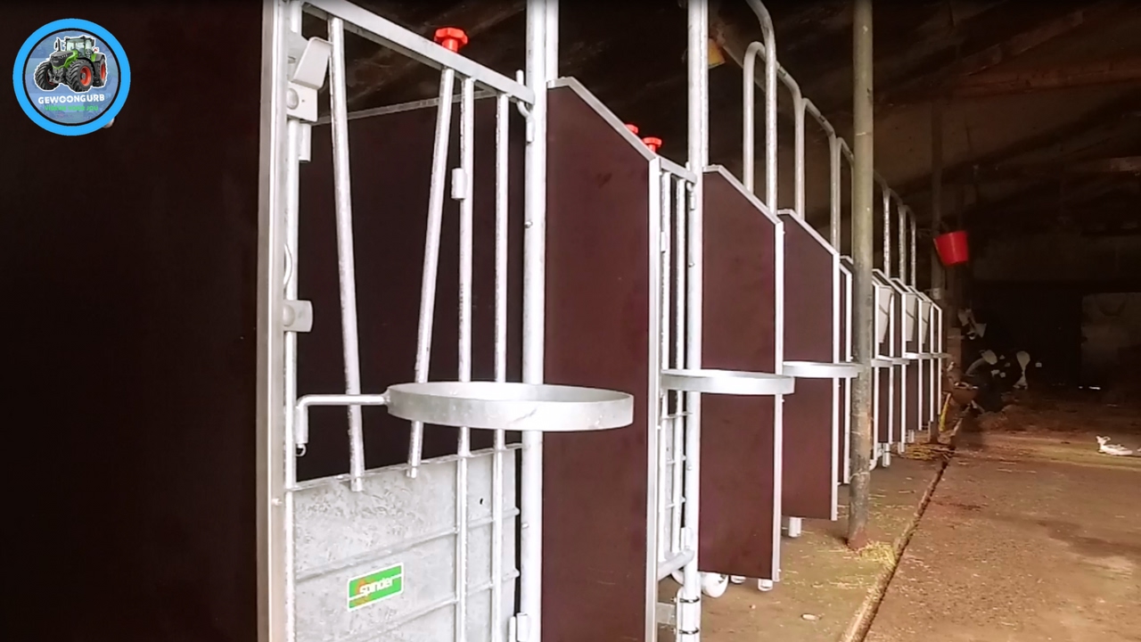 Nieuwe kalverboxen in elkaar zetten | GewoonGurb