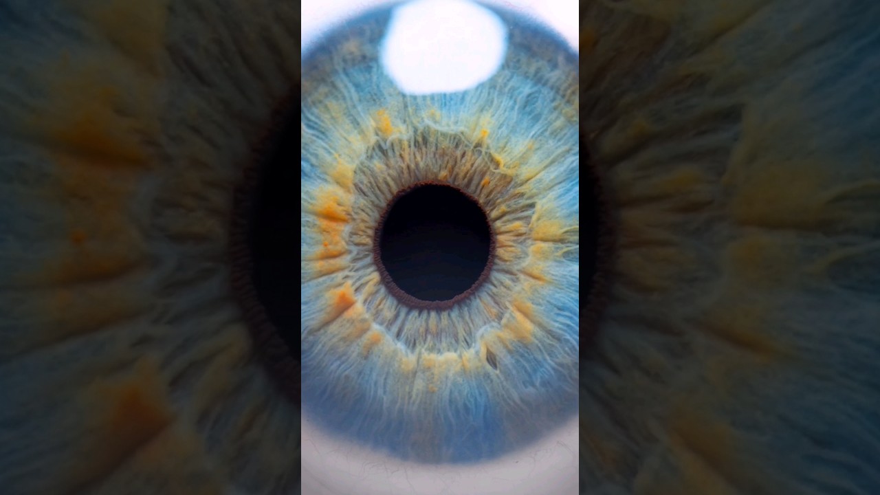 Ultra macro photo of the eyes! #iris #macro #macrophotography #photography #irisphotography #eyes