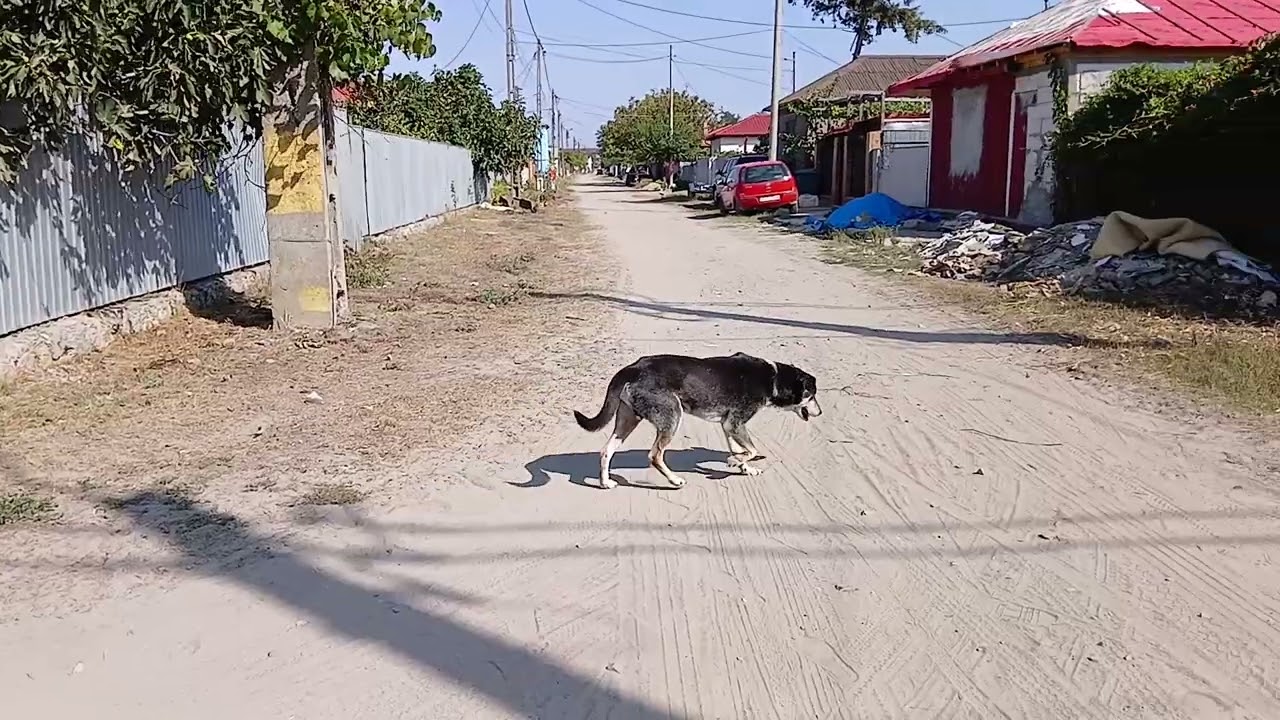 În 
