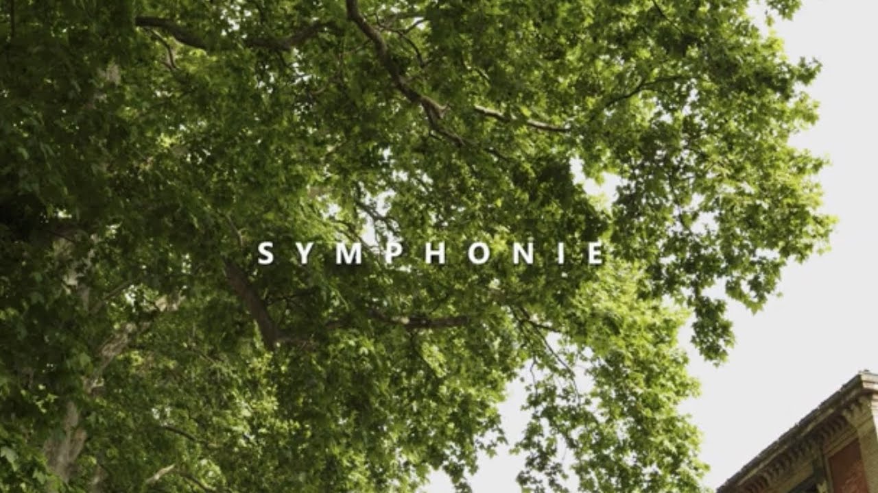 Orchestre Symphonique Étudiant de Toulouse : Documentaire 