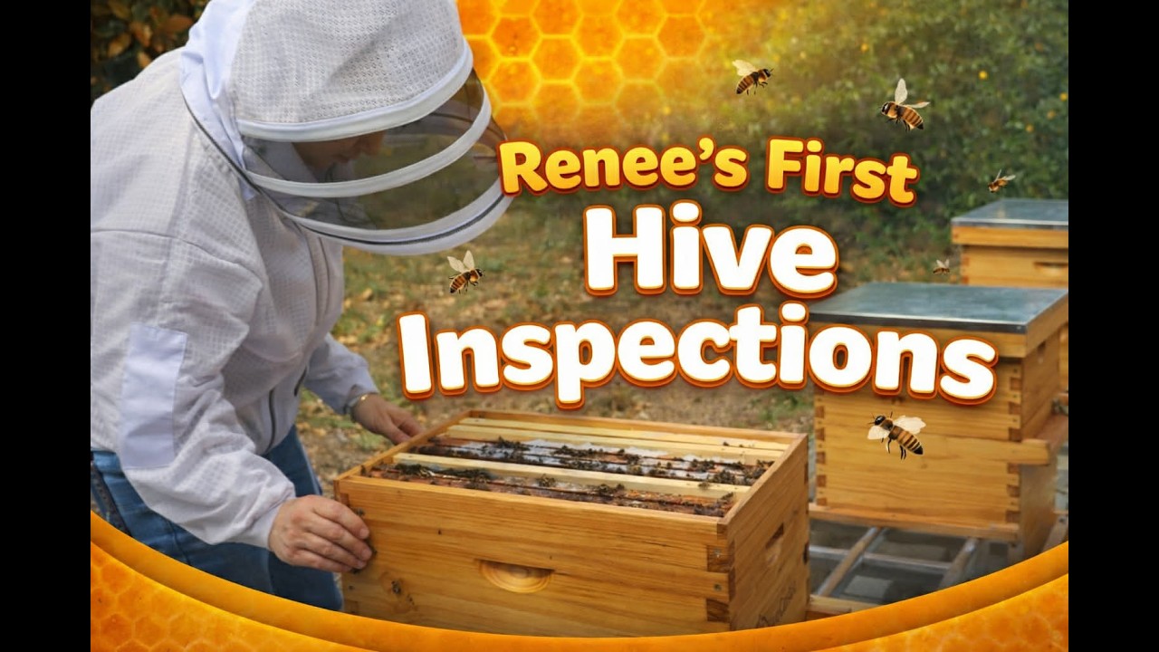 Renee’s Inspects Her Hives for First Time