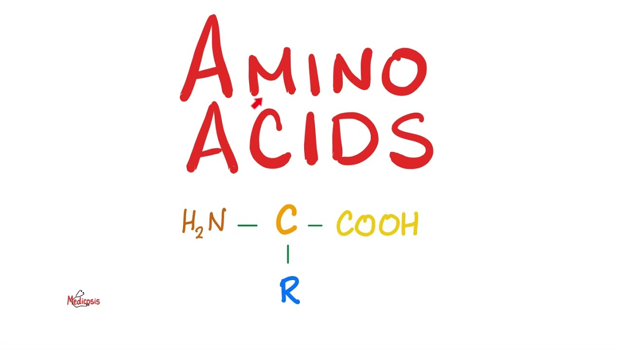 Amino Acids (Part 2) | Classification | Biochemistry MCAT