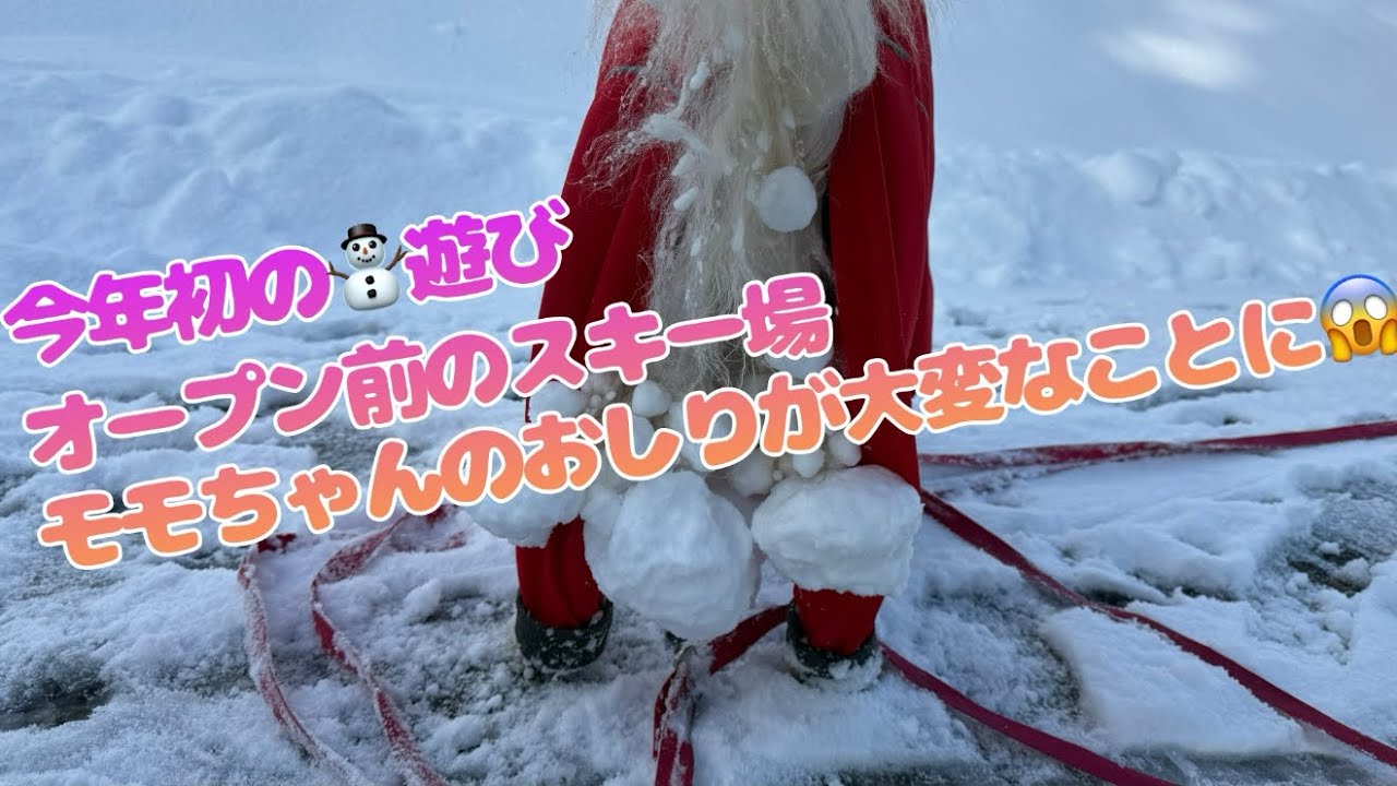 今年初の⛄️遊び！モモちゃんのおしりが大変なことに😱