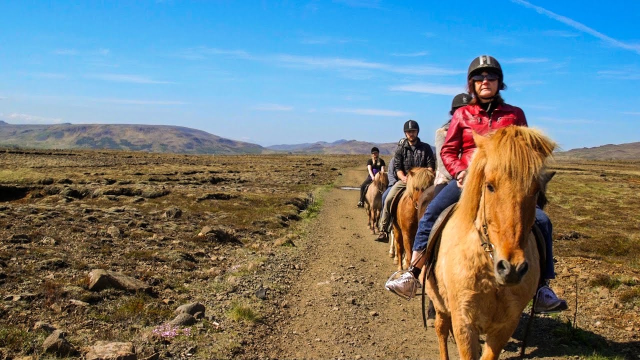 Viking Horse Riding Experience in Iceland