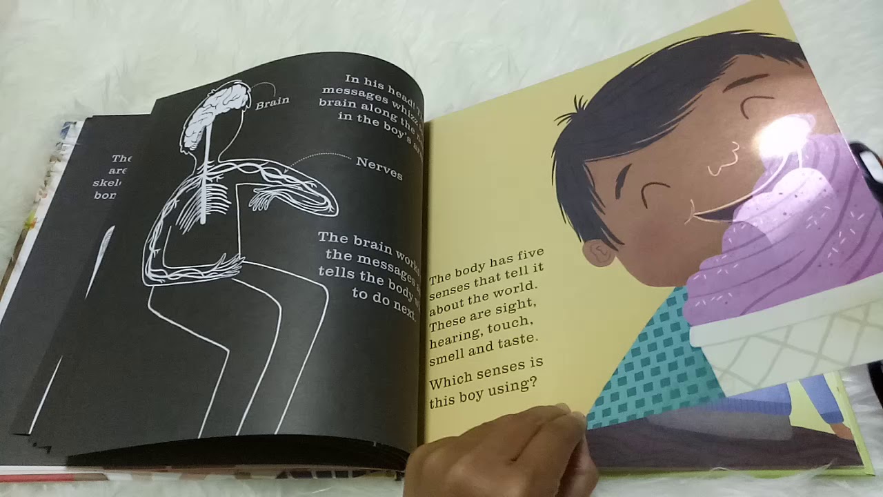 THE HUMAN BODY (a shine - a - light book) - Carron brown & Rachael Saunders