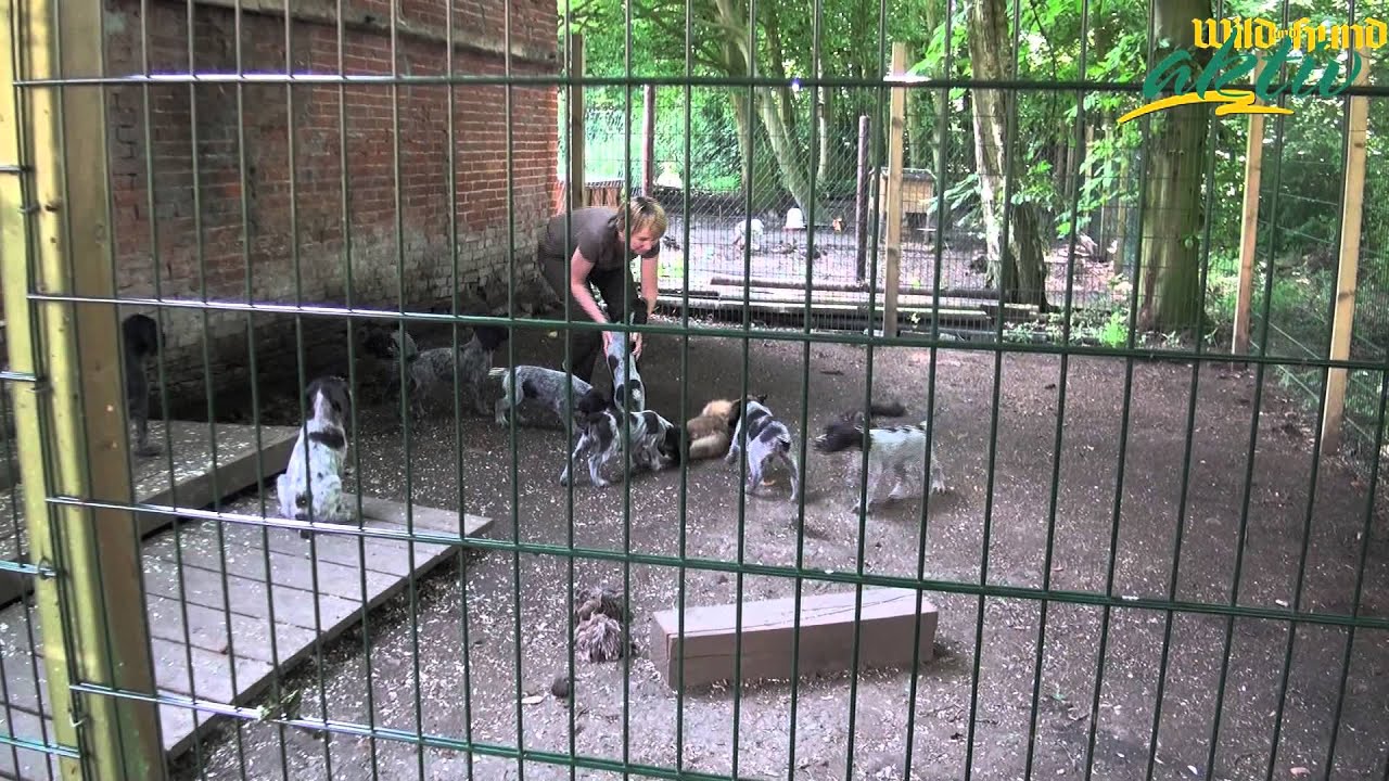 WILD UND HUND aktiv Seminar mit Theodor He&szlig;ling